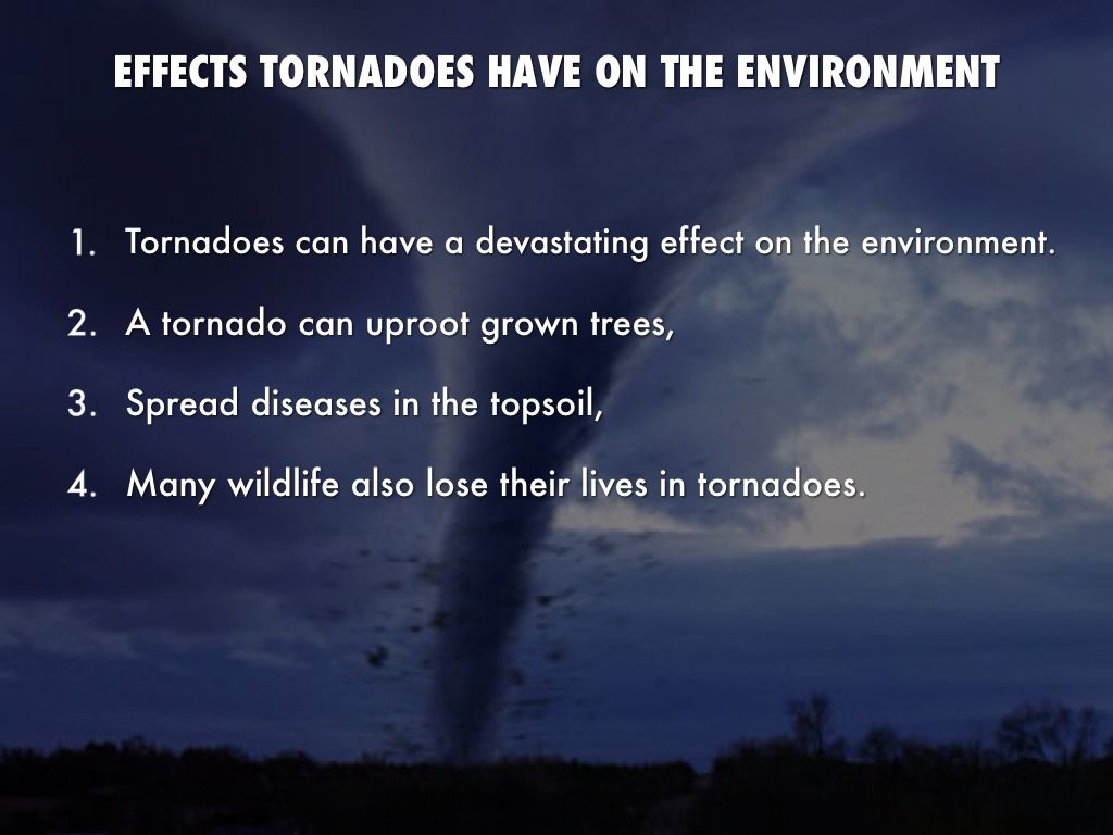 Tornado Environmental Impact: Devastating Effects on Ecosystems and Landscapes
