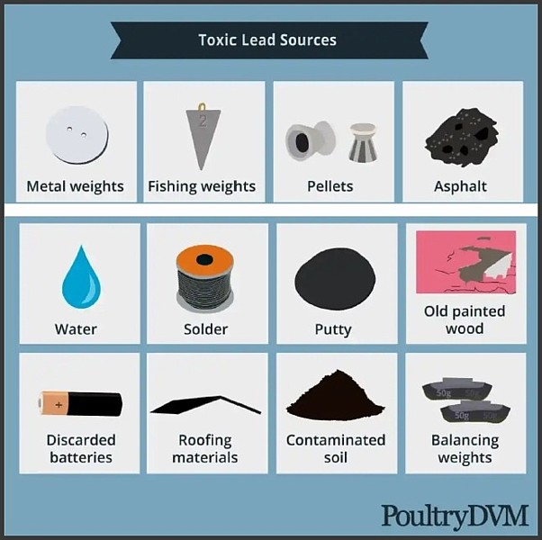 Retail Environmental Hazards: Identifying Common Shop Materials Containing Metals and Toxins